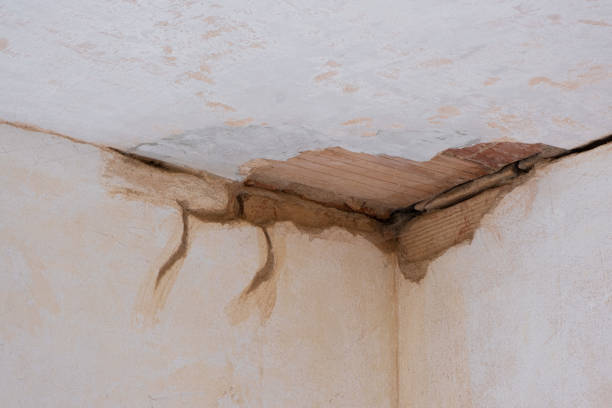 Best Water damage restoration cost  in Greenland, AR