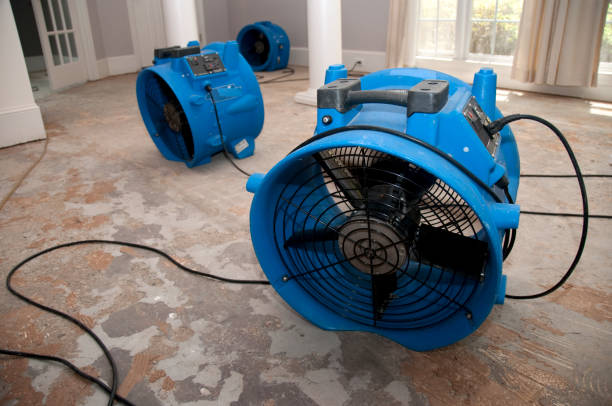 Best Fire Damage Restoration  in Greenland, AR
