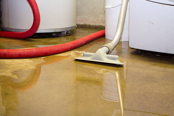 Best Water damage restoration near me  in Greenland, AR