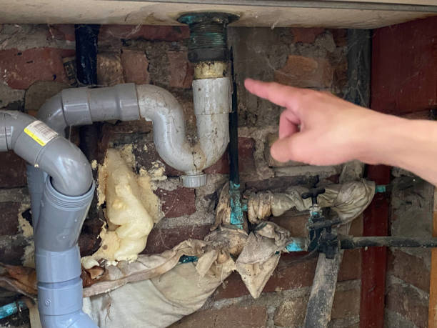Best Professional water damage repair  in Greenland, AR