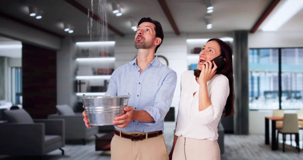 Best Flooded house restoration  in Greenland, AR