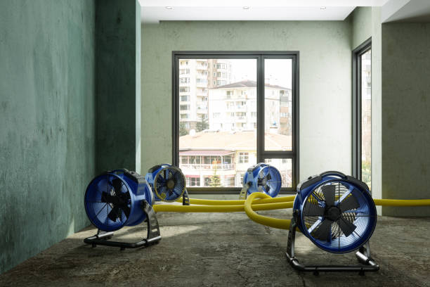 Best Flood restoration services  in Greenland, AR
