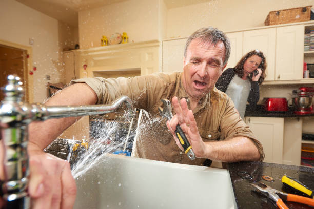 Best Water damage restoration near me  in Greenland, AR